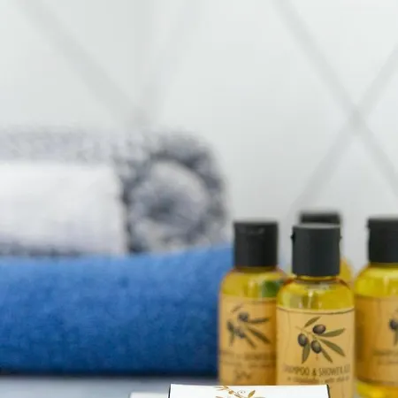 Alexis Chrysi Ammoudia