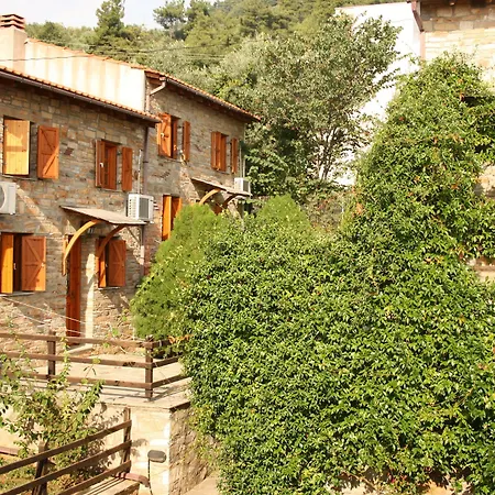 Alexis Chrysi Ammoudia